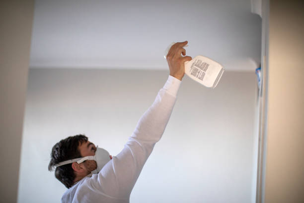 Best Black Mold Remediation in Five Points, FL